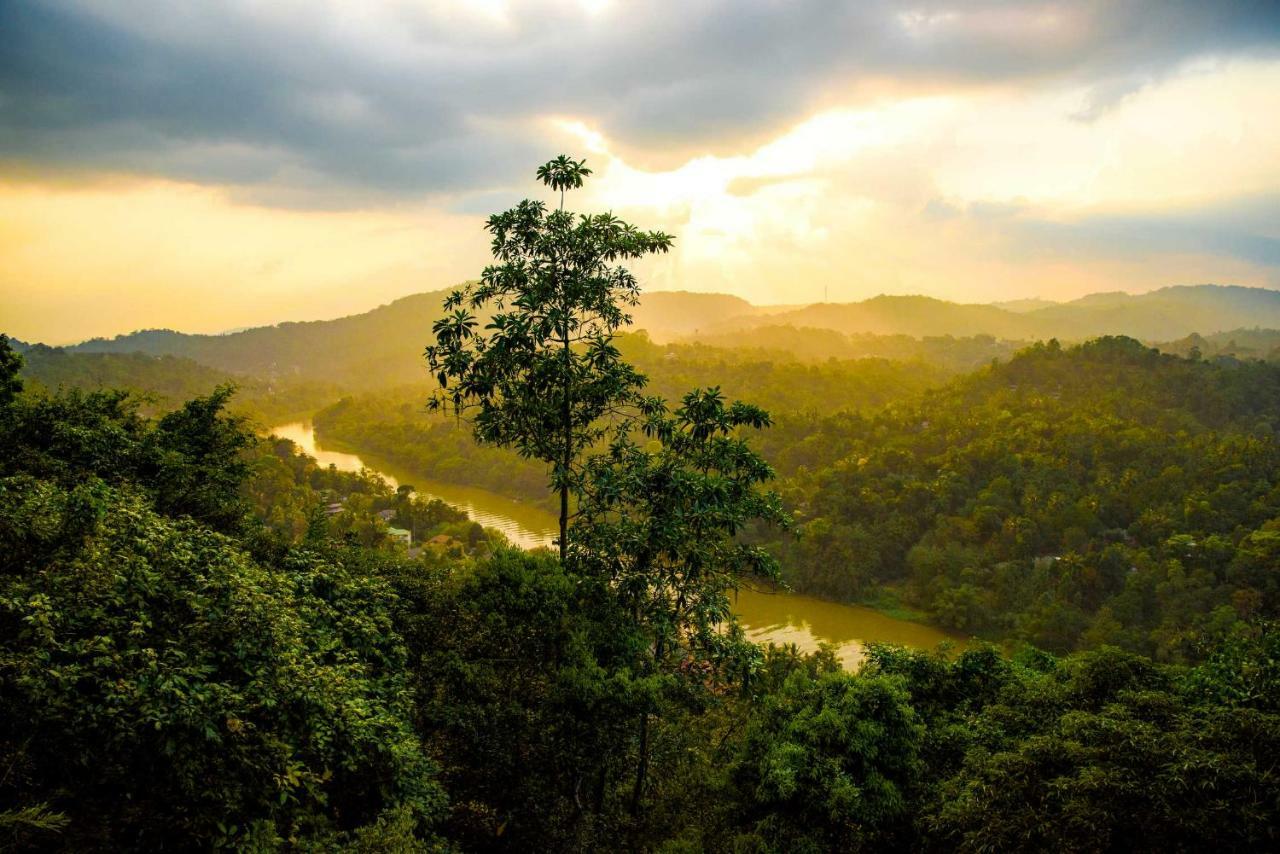 Villa Rosa Kandy Ngoại thất bức ảnh